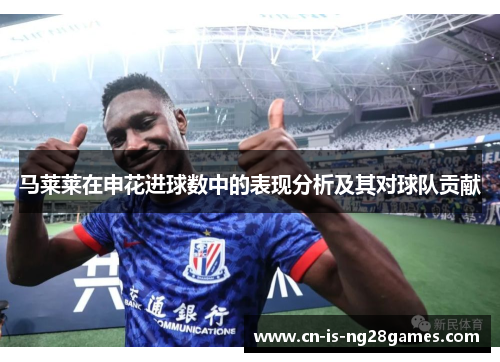 马莱莱在申花进球数中的表现分析及其对球队贡献