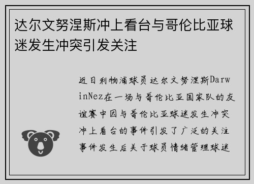 达尔文努涅斯冲上看台与哥伦比亚球迷发生冲突引发关注