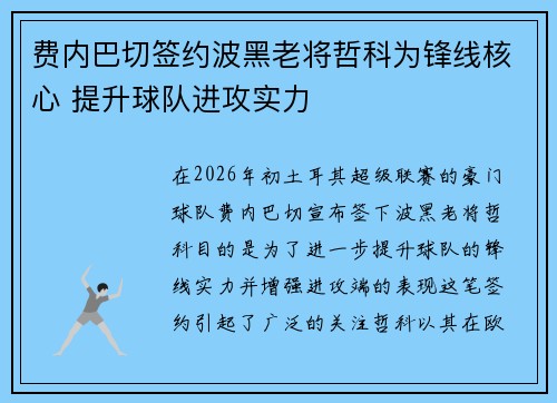 费内巴切签约波黑老将哲科为锋线核心 提升球队进攻实力 费内巴切签约波黑老将哲科为锋线核心 提升球队进攻实力
